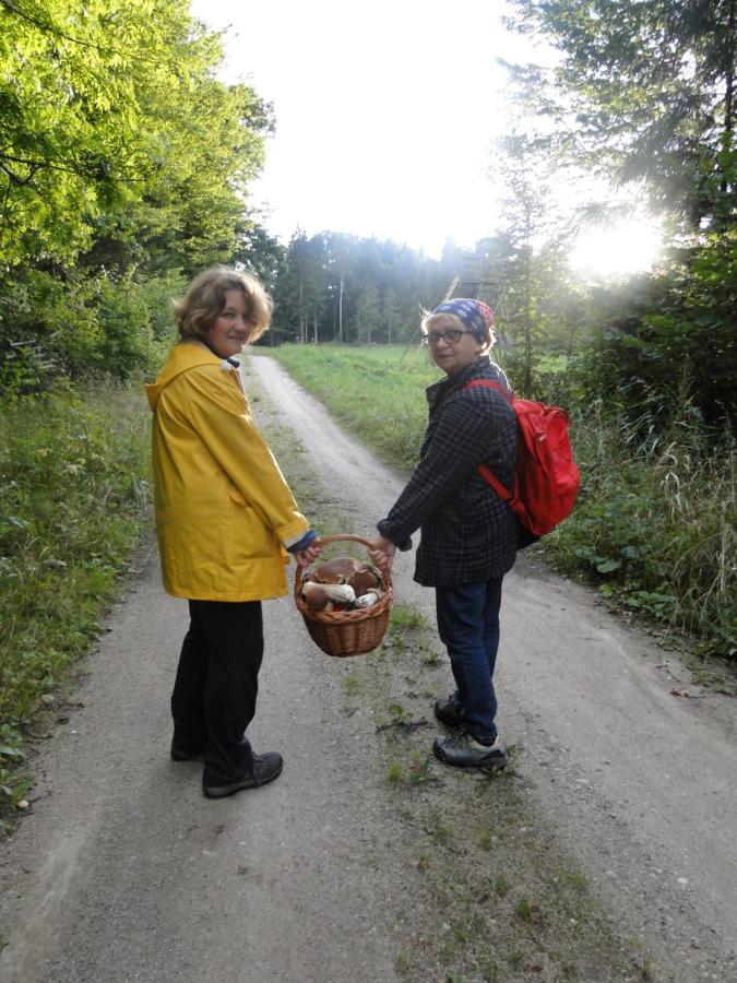 Agroturystyka Zywe Kruklanki Kültér fotó
