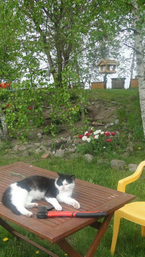 Agroturystyka Zywe Kruklanki Kültér fotó